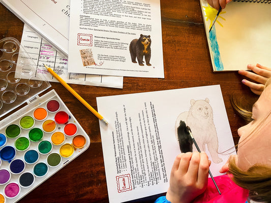 Why Creativity Matters in Homeschooling