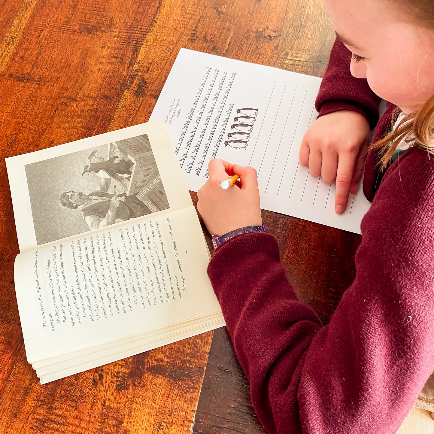 Mr Popper's Penguins Book Study